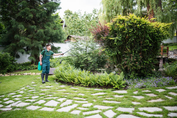 Best Wasp Removal Services  in Milford, UT
