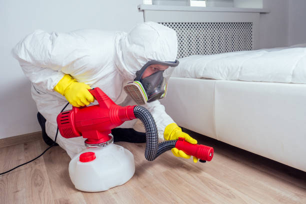 Best Affordable Pest Control Services  in Milford, UT