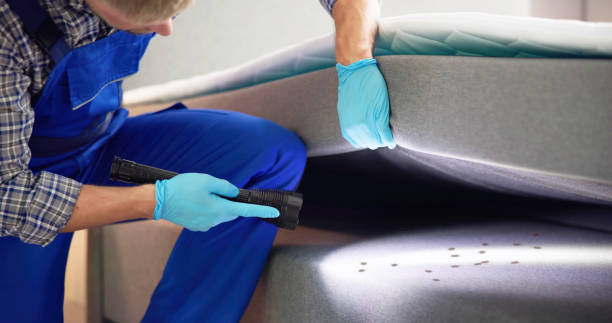 Best Cockroach Control Services  in Milford, UT