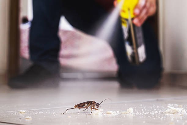 Trusted Milford, UT Pest Control Experts