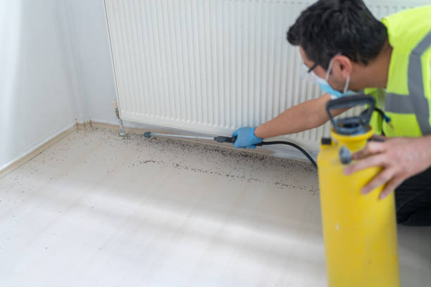 Best Flea Control Services  in Milford, UT